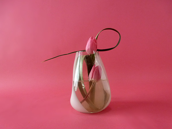 2025年4月15日火曜日、福島県・國分草珠さんの作品