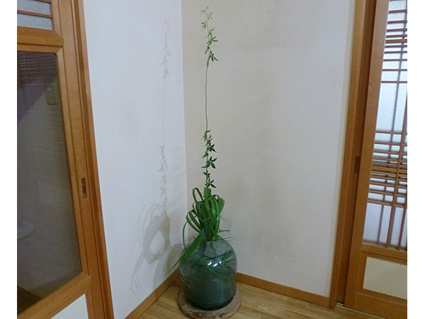 2025年8月15日金曜日、福島県・菅野草苑さんの作品