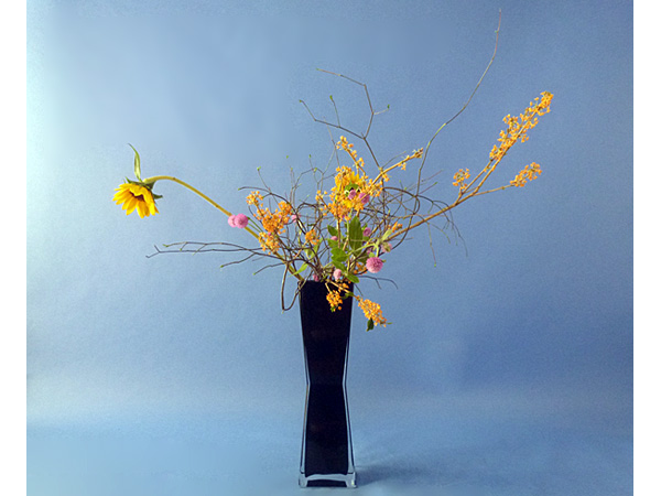 2025年12月30日火曜日、福島県・秋元賀苑さんの作品