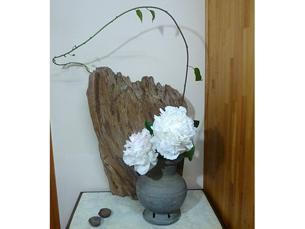 2025年6月27日金曜日、福島県・菅野草苑さんの作品