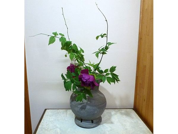2025年5月23日金曜日、福島県・菅野草苑さんの作品