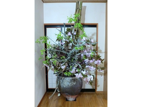 2025年5月23日金曜日、福島県・菅野草苑さんさんの作品