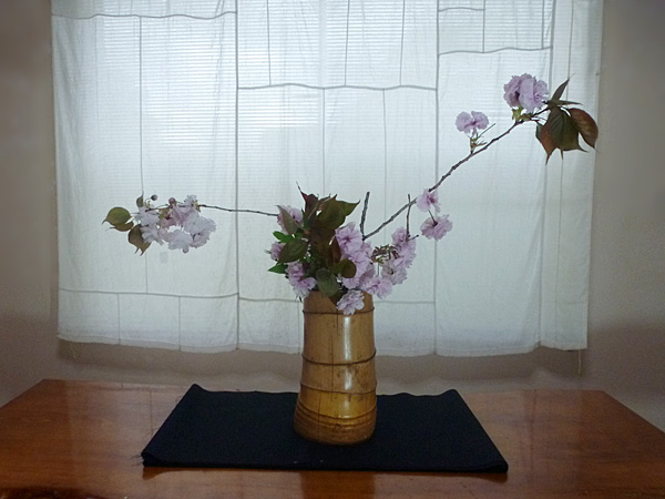 2025年5月22日木曜日、福島県・島田草香さんさんの作品