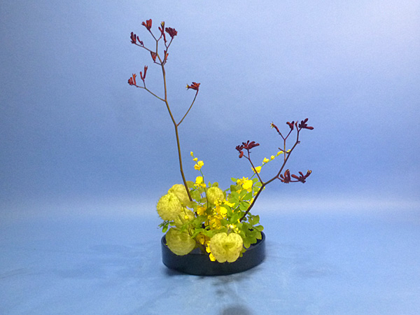 2025年11月17日月曜日、福島県・池田実怜さんの作品