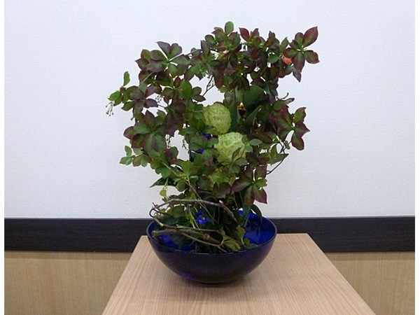 2025年11月3日月曜日、福島県・小野みゆきさんの作品