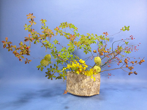 2025年11月18日火曜日、福島県・國分草珠さんの作品