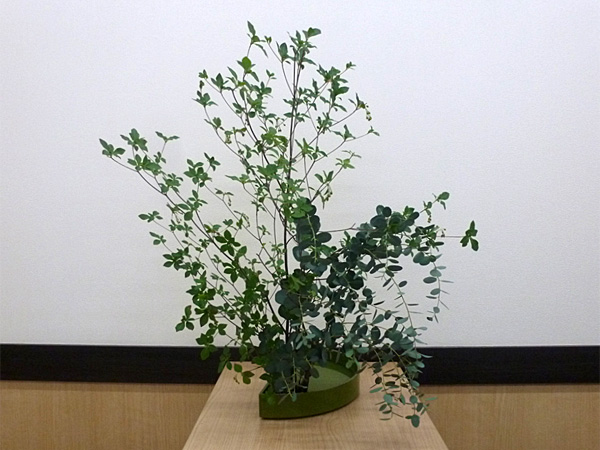 2025年10月14日火曜日、福島県・佐藤美雪さんの作品