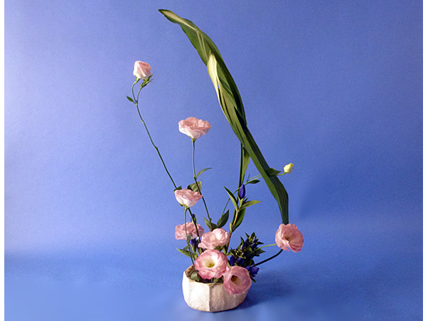 2025年10月3日金曜日、福島県郡山市・菅野草苑(かんのそうえん)さんの作品