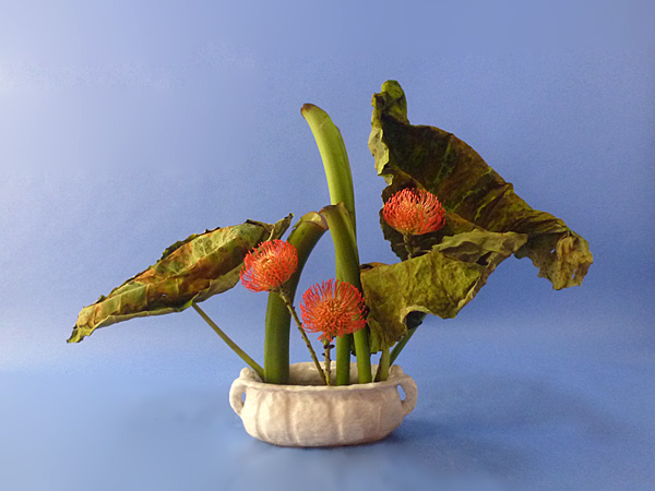 2025年10月10日金曜日、福島県郡山市・菅野草苑(かんのそうえん)さんの作品