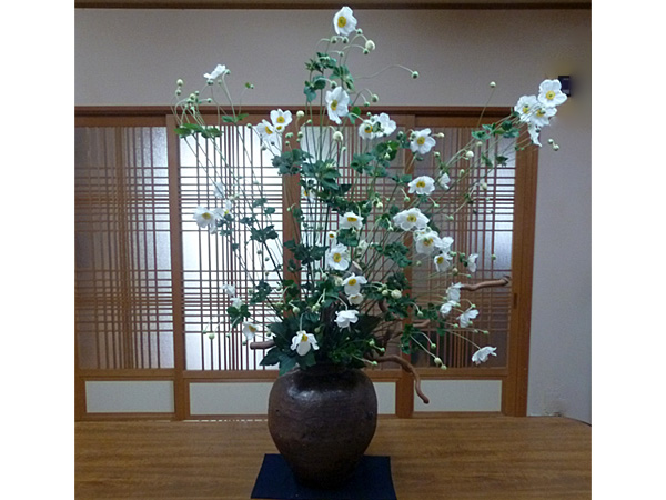 2025年10月31日金曜日、福島県・菅野草苑さんの作品