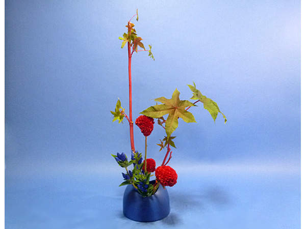 2025年9月22日月曜日、福島県・池田実怜さんの作品