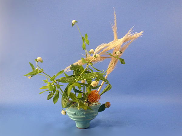 2025年9月19日金曜日、福島県郡山市・菅野草苑（かんのそうえん）さんの作品