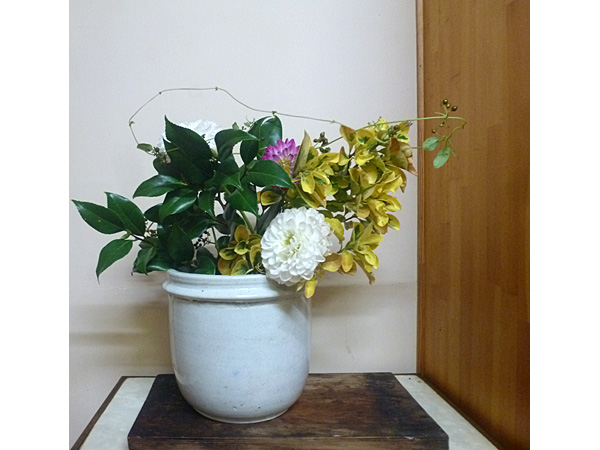 2025年9月26日金曜日、福島県・菅野草苑さんの作品