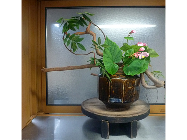 2025年9月26日金曜日、福島県・菅野草苑さんの作品