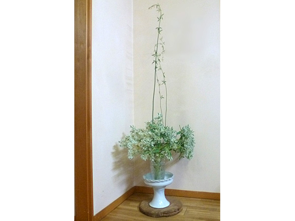 2025年9月25日木曜日、福島県・島田草香さんの作品