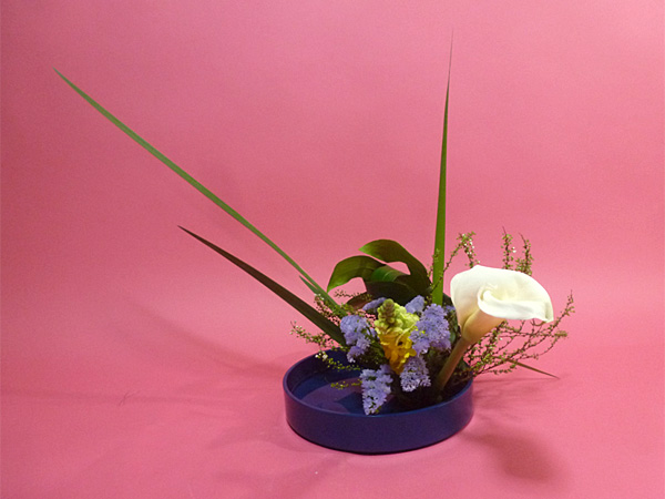 2026年4月7日火曜日、福島県・池田実怜さんの作品