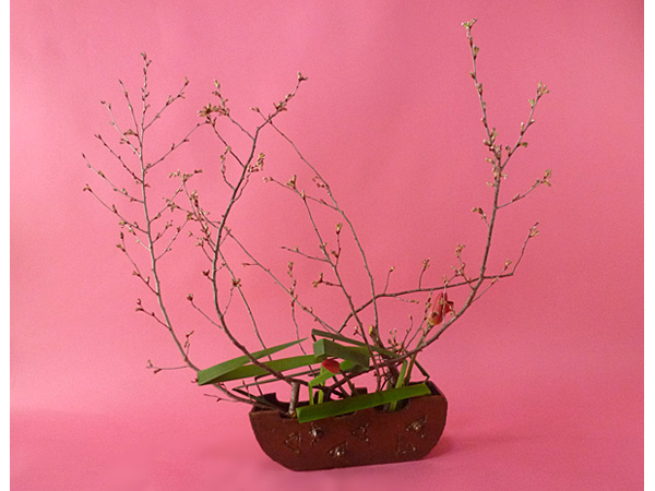 2026年4月3日金曜日、福島県郡山市・菅野草苑（かんのそうえん）さんの作品