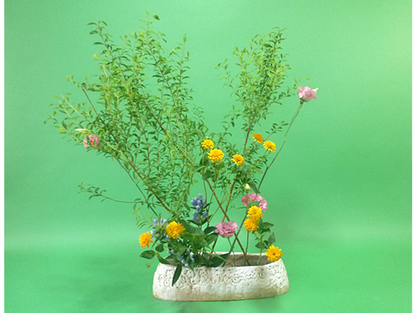 2026年8月14日金曜日、福島県郡山市・菅野草苑（かんのそうえん）さんの作品