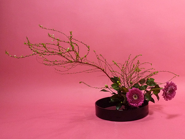 2026年2月17日火曜日、福島県・池田実怜さんの作品