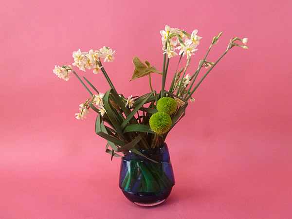 2026年2月6日金曜日、福島県郡山市・菅野草苑（かんのそうえん）さんの作品