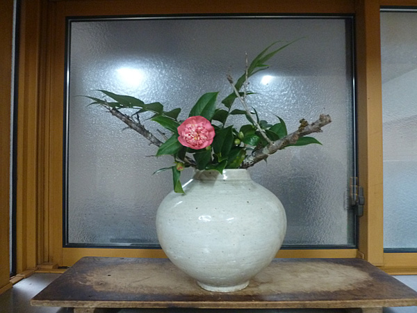 2026年1月16日金曜日、福島県・菅野草苑さんの作品