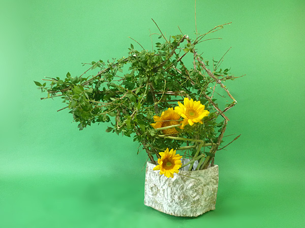 2026年7月3日金曜日、福島県郡山市・菅野草苑（かんのそうえん）さんの作品