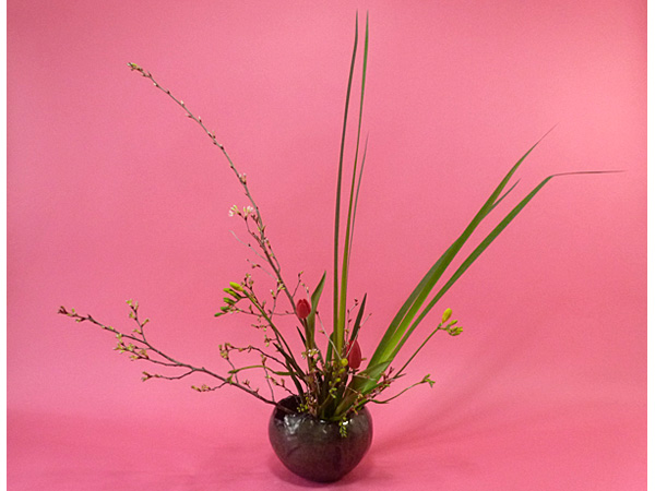 2026年3月30日月曜日、福島県・沼田幸子さんの作品