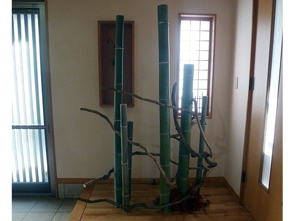 2026年3月6日金曜日、福島県・菅野草苑さんの作品