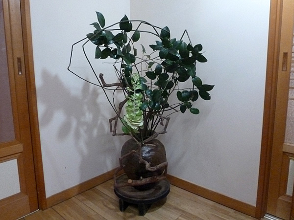 2026年3月6日金曜日、福島県・菅野草苑さんの作品