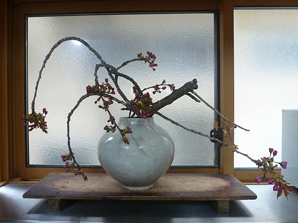 2026年5月8日金曜日、福島県・菅野草苑さんの作品