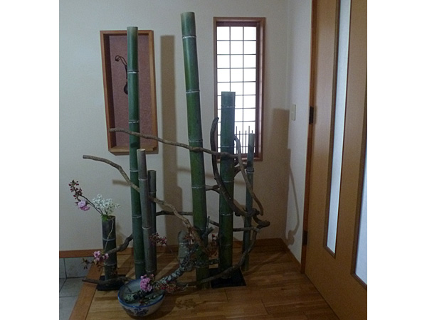 2026年5月8日金曜日、福島県・菅野草苑さんの作品