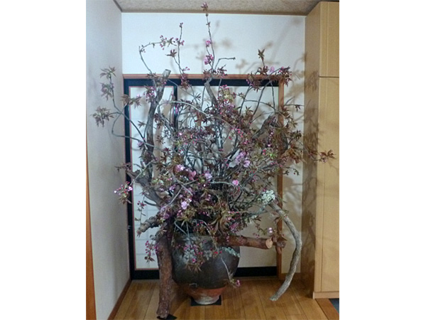 2026年5月8日金曜日、福島県・菅野草苑さんの作品