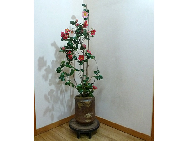 2026年5月7日木曜日、福島県・島田草香さんさんの作品